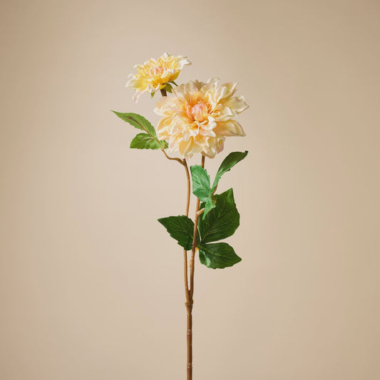 Rogue Dahlia Bud Stem