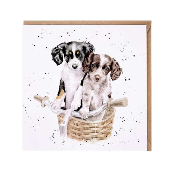 Wrendale Designs Cards