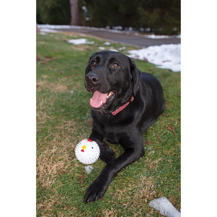 Kikkerland Kobe Chicken Dog Ball - Chicken Flavoured