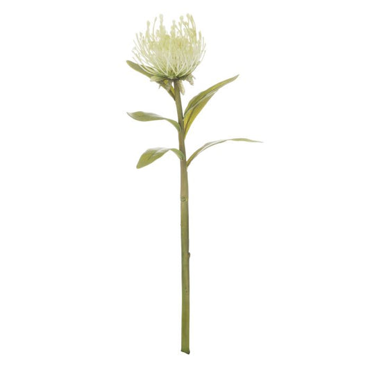 Rogue Pin Cushion Stem - Cream