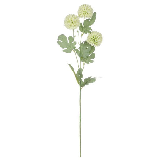 Rogue Kiku Spray Green