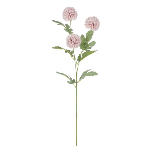 Rogue Kiku Spray Pink