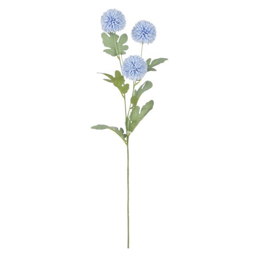 Rogue Kiku Spray Blue