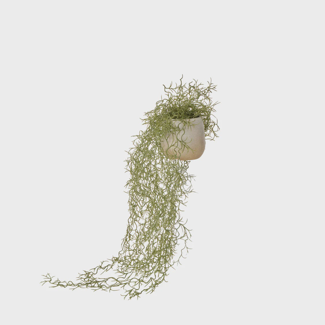 Rogue Airfern Plant Pot