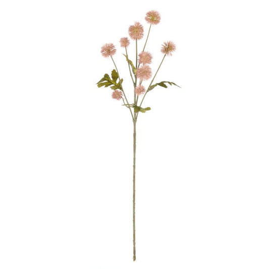 Rogue Pompom Spray - Mauve