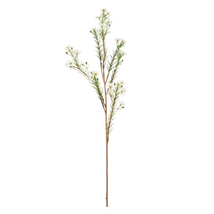 Rogue Wax Flower Spray