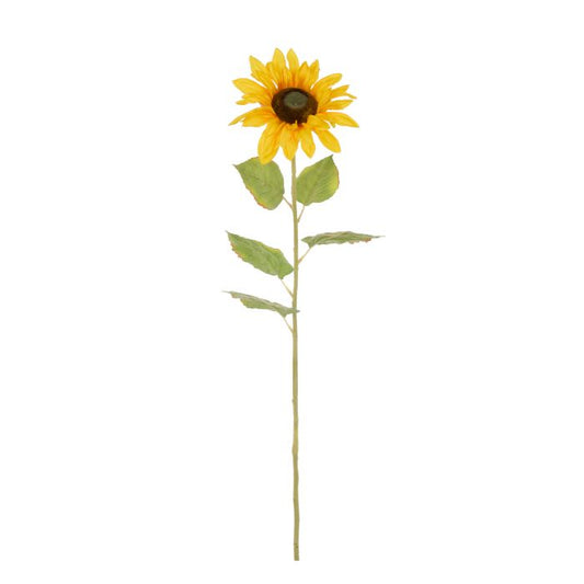 Rogue Sunflower Stem