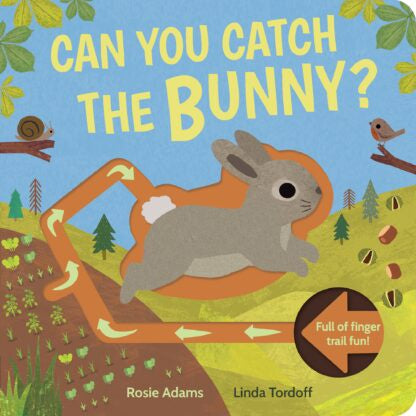 Can you catch the bunny? - Little Tiger