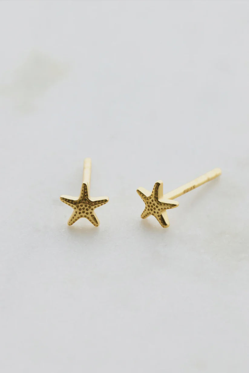 Zafino Starfish Stud Earring