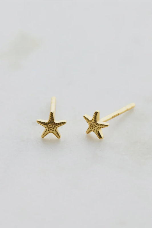 Zafino Starfish Stud Earring