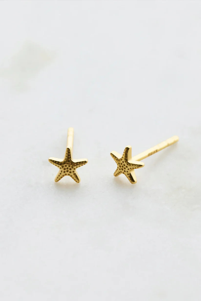 Zafino Starfish Stud Earring