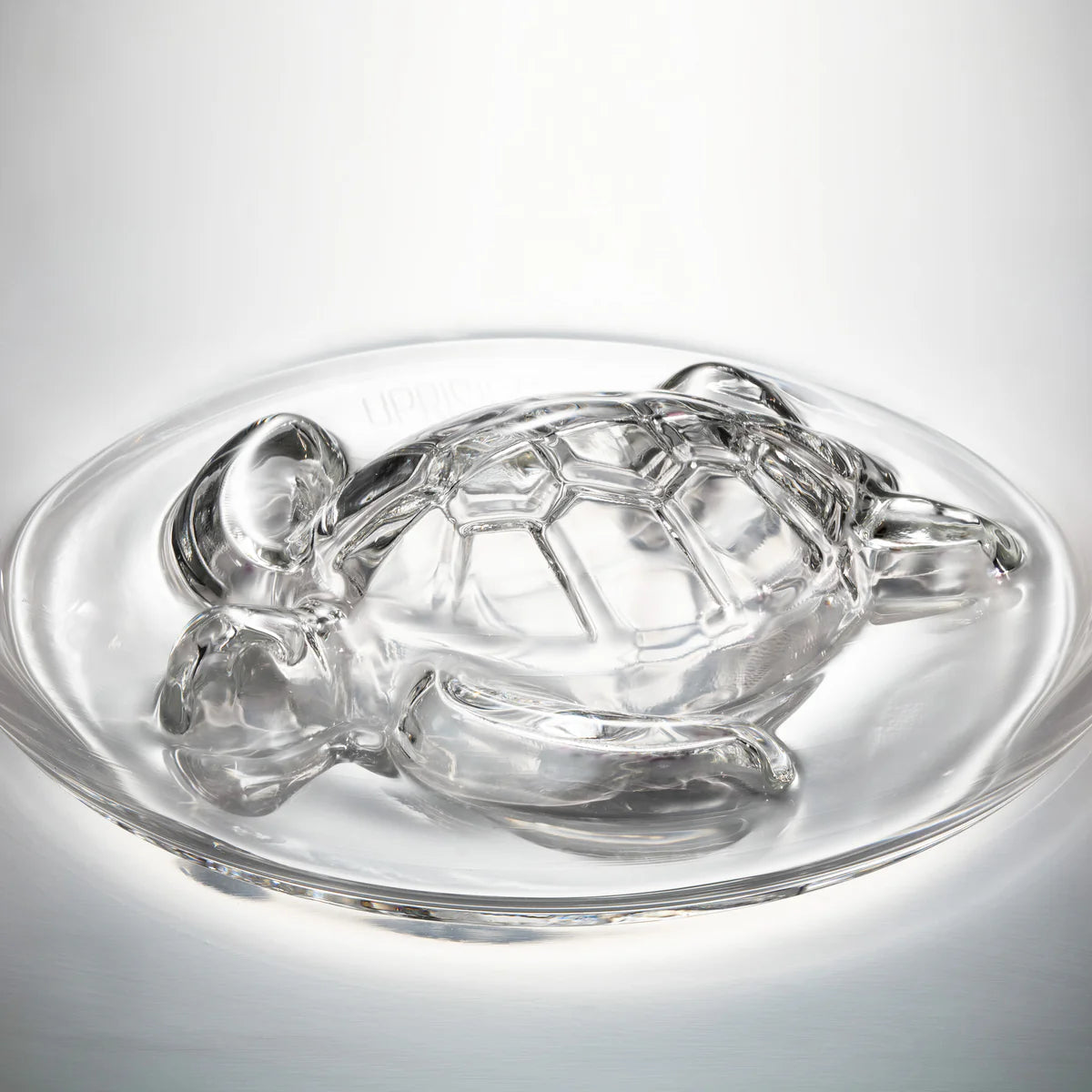 Uprising Glassware Stemless Glass - Green Sea Turtle