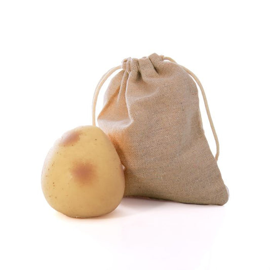 Discovery Zone Sensory Spud