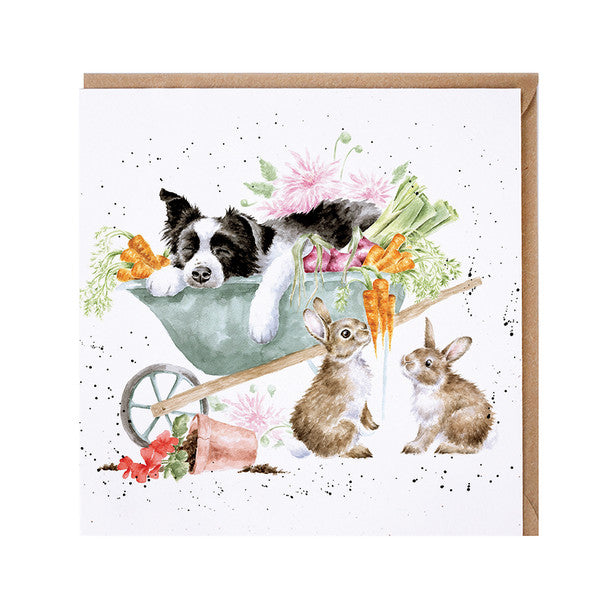 Wrendale Designs Card