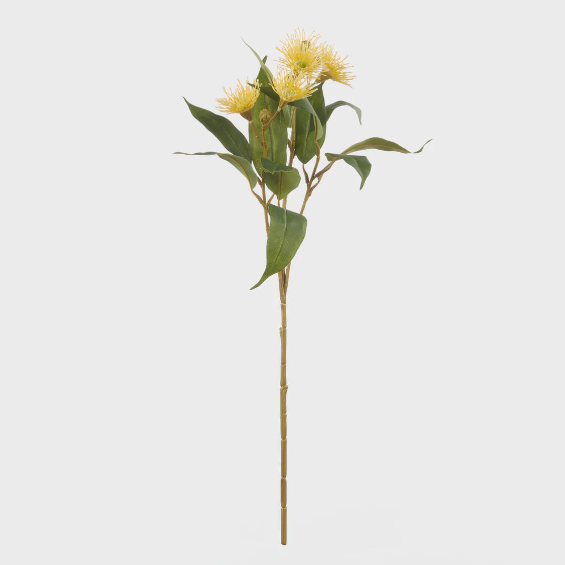 Rogue Eucalyptus Flower Spray - Yellow