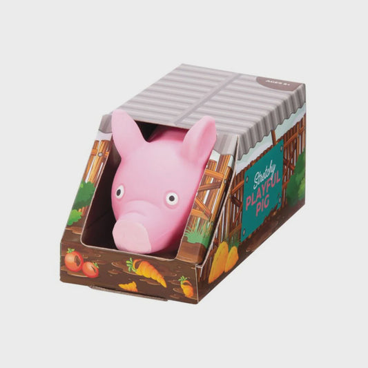 IsGift Stretchy Playful Pig