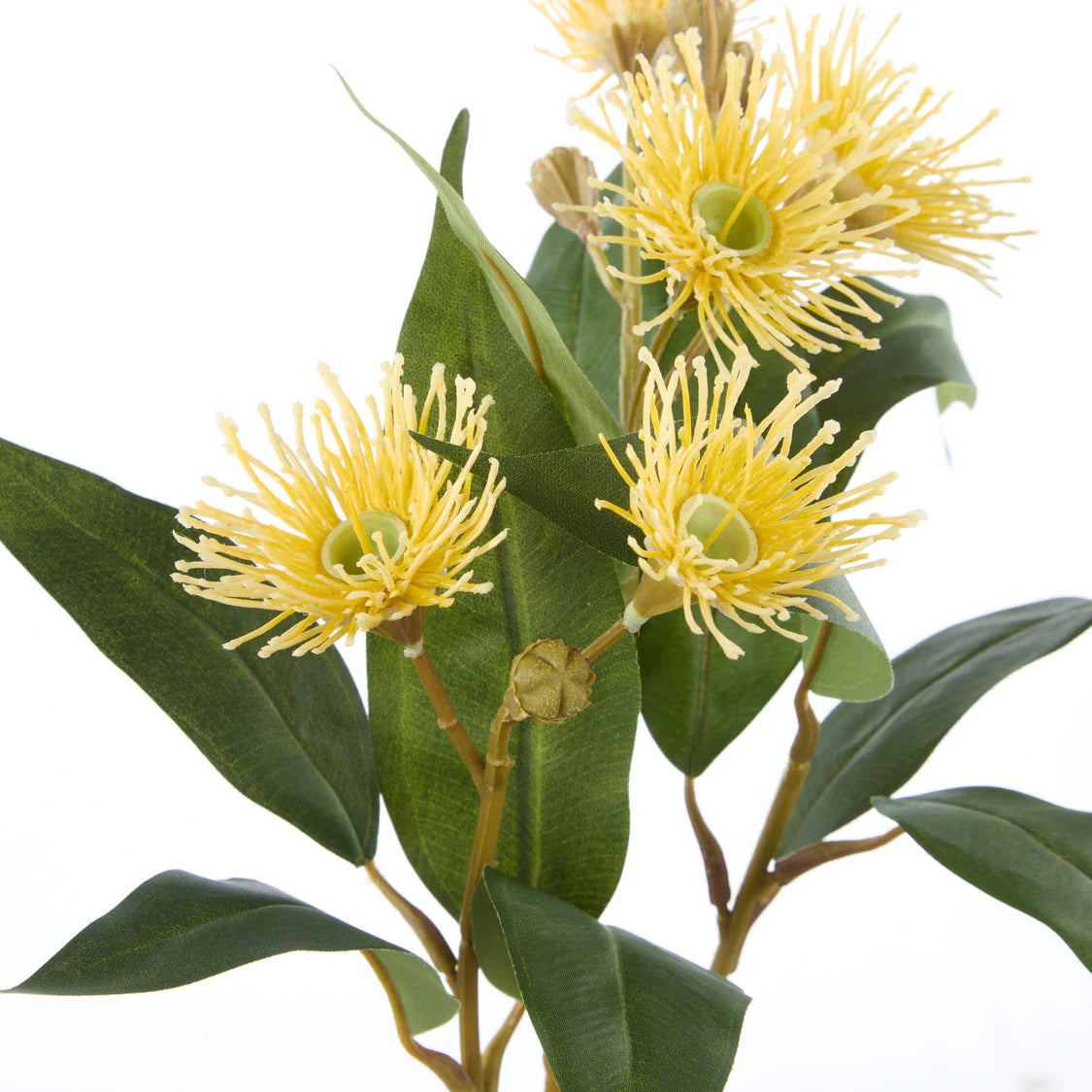 Rogue Eucalyptus Flower Spray - Yellow