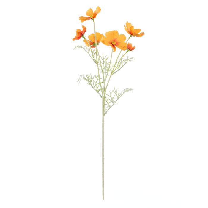 Rogue Cosmos Flower Spray