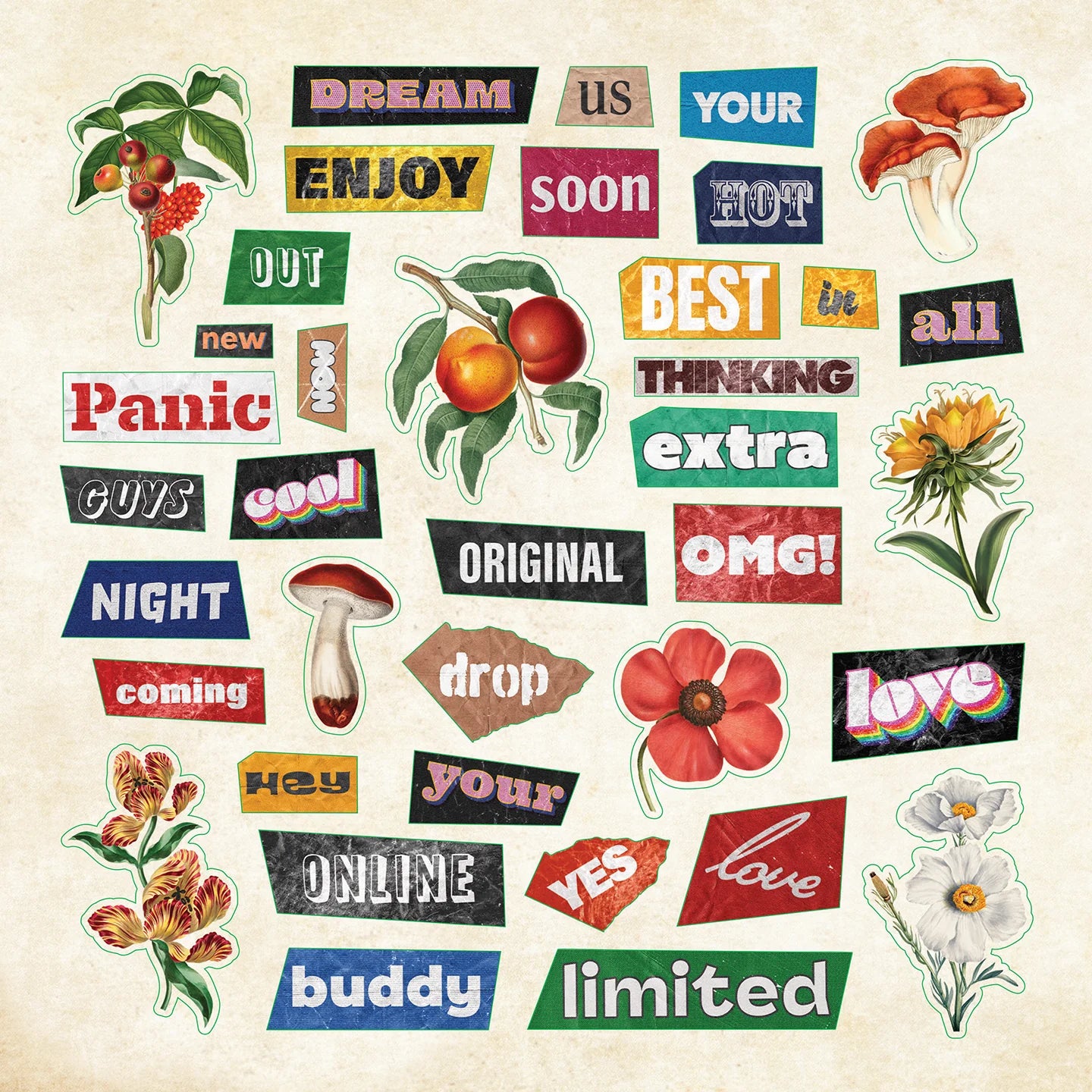 Peter Pauper Sticker Book - Ransom Notes