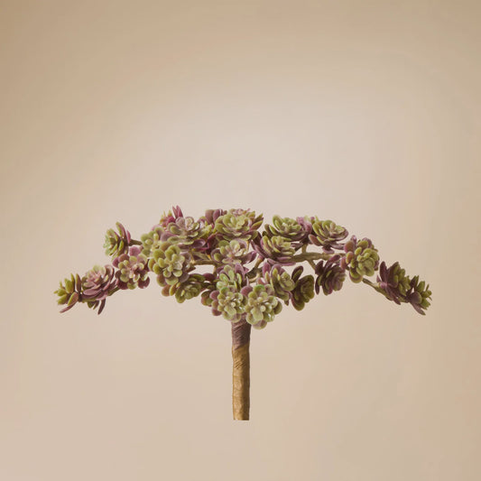 Rogue Mini Houseleek Spray - Burgandy