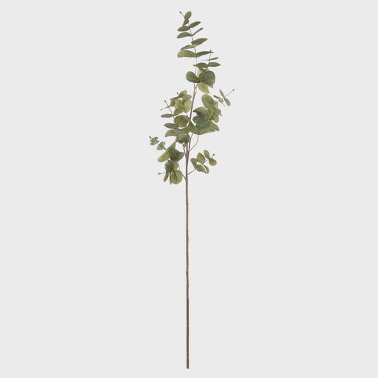Rogue Round Eucalyptus Spray