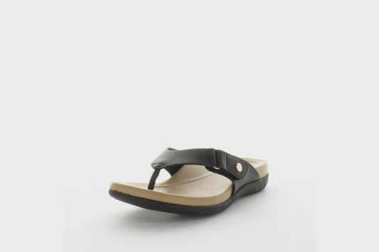 Aerocushion Mespy