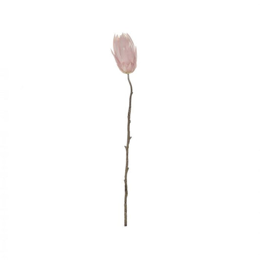Rogue Deco Protea Stem - Pink
