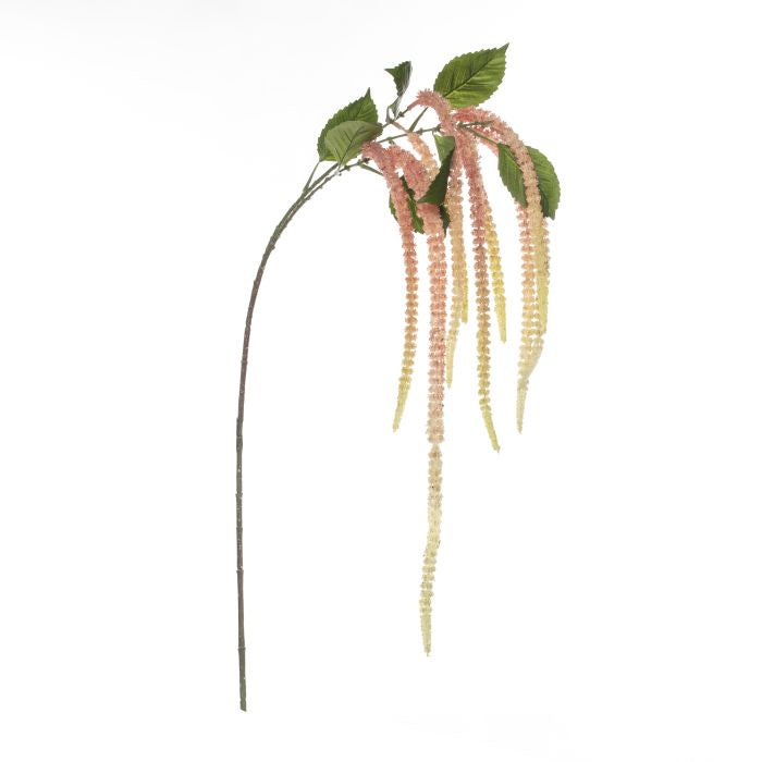 Rogue Amaranthus Spray 35x25x133cm Pink/Green