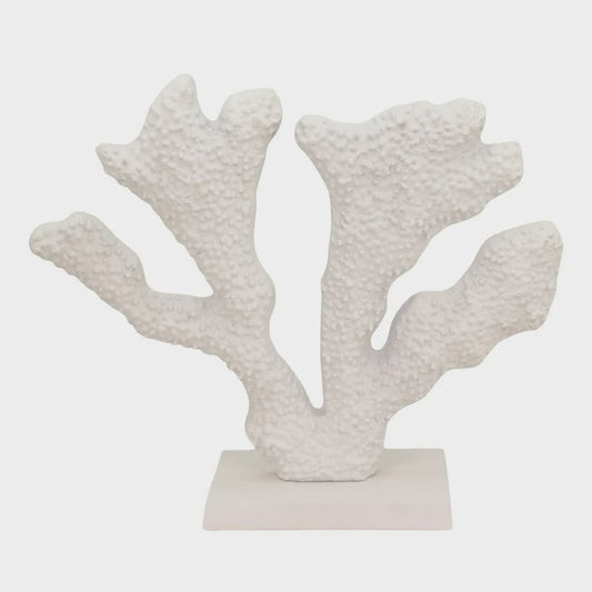 Madras Link Coral Sculpture