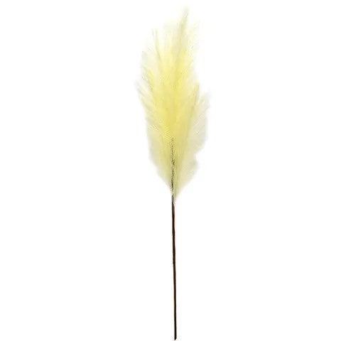 Life Botanic 70cm Pampas Grass - Natural