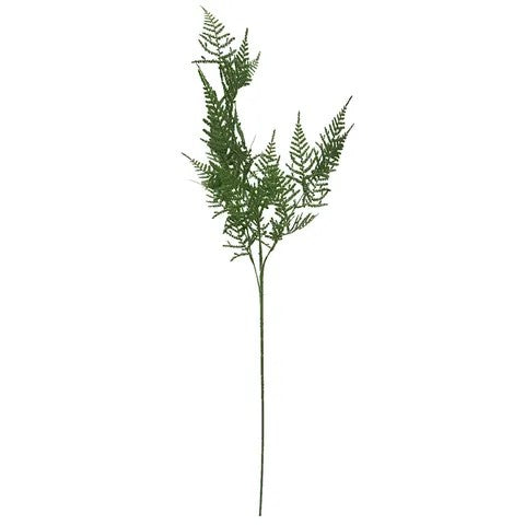 Life Botanic Setose Asparagus 73cm Spray