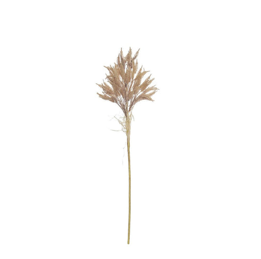 Rogue River Grass Spray Brown 80cm