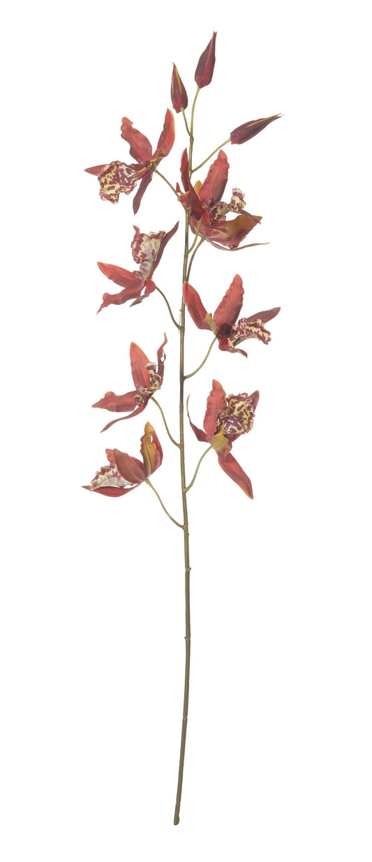 Rogue Oncidium Orchid Spray 80cm Burnt Red