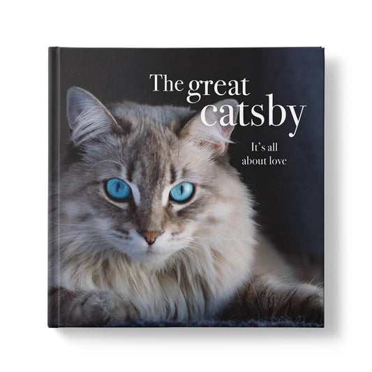 Affirmation Animal Book