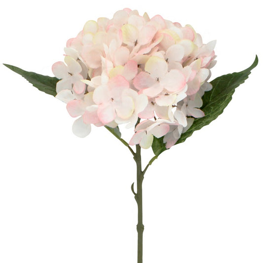 NF Living Hydrangea - Pink