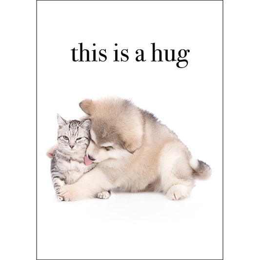 Affirmations Card - This is a Hug (Thinking of You)