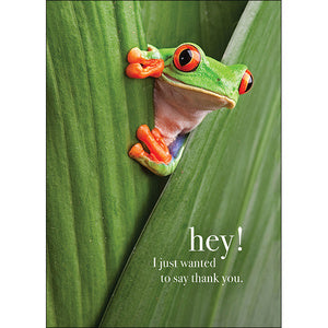Affirmations Animal Series Cards