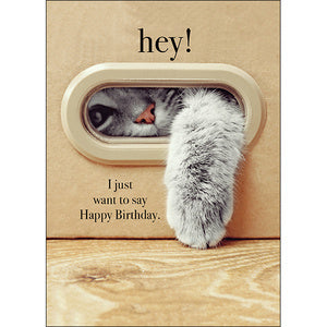 Affirmations Animal Series Cards