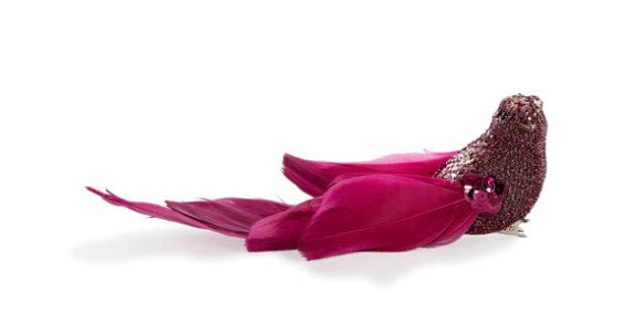 Holly & Ivy Magenta Feather Clip Bird