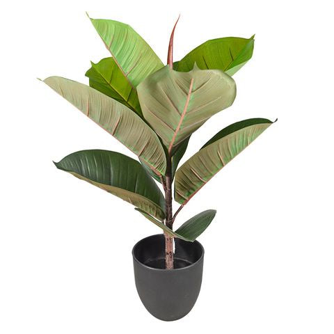 Life Botanic 58cm Real Touch Rubber Tree in Pot