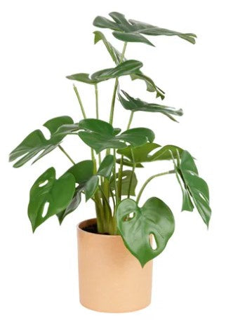 Life Botanic Monstera Real Touch 38cm in pot