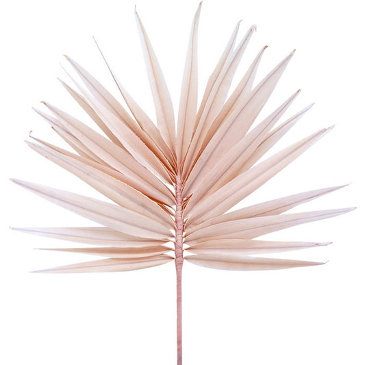 NF Living Palm Fan Pink 40x90cm