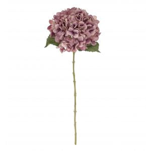 Rogue Hydrangea Stem - Dusty Pink