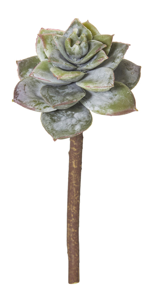 Rogue Flower Echeveria Pick - 14cm