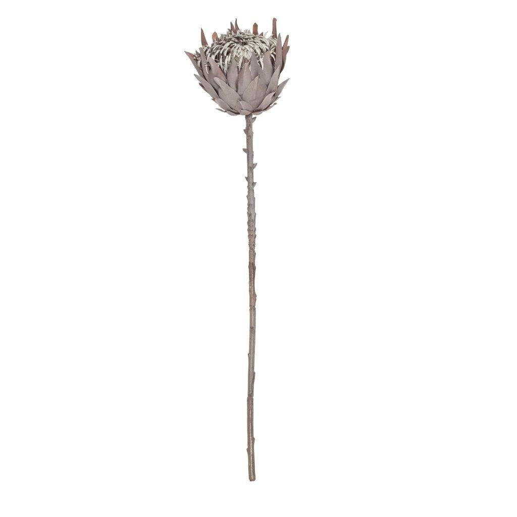 Rogue Dried Look Protea Stem 69cm Brown